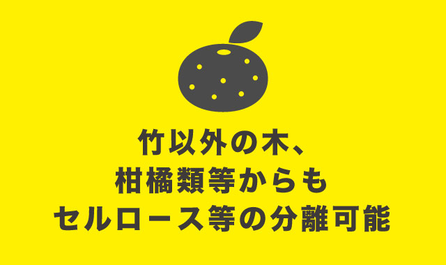 竹以外の木、柑橘類等からもセルロ－ス等の分離可能
